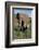 Mother and Baby Elephant-DLILLC-Framed Photographic Print