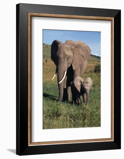 Mother and Baby Elephant-DLILLC-Framed Photographic Print