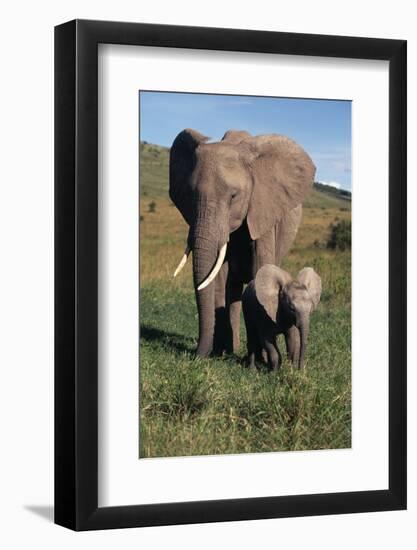 Mother and Baby Elephant-DLILLC-Framed Photographic Print