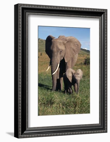 Mother and Baby Elephant-DLILLC-Framed Photographic Print