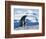 Mother and baby gentoo penguins-Kevin Schafer-Framed Photographic Print