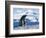 Mother and baby gentoo penguins-Kevin Schafer-Framed Photographic Print