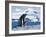 Mother and baby gentoo penguins-Kevin Schafer-Framed Photographic Print