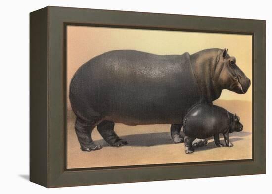 Mother and Baby Hippo-null-Framed Stretched Canvas