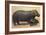 Mother and Baby Hippo-null-Framed Art Print