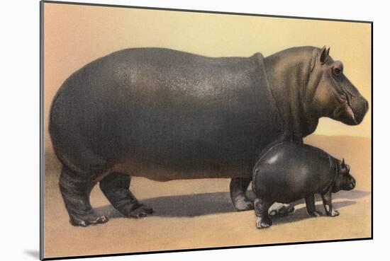 Mother and Baby Hippo-null-Mounted Art Print