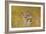 Mother and Baby I (Lions) 1995-Odile Kidd-Framed Giclee Print