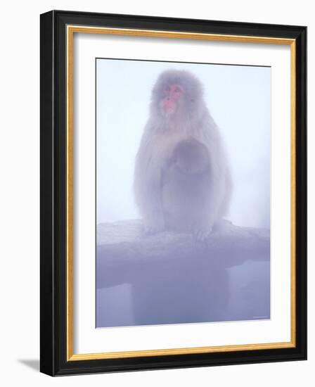 Mother and Baby Monkeys at Jigokudani Hot Spring, Nagano, Japan-null-Framed Photographic Print