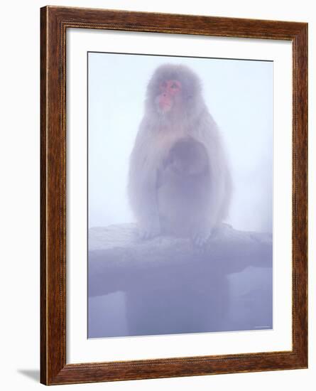 Mother and Baby Monkeys at Jigokudani Hot Spring, Nagano, Japan-null-Framed Photographic Print