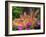 Mother and Baby New Zealand Rabbit Amongst Petunias, USA-Lynn M. Stone-Framed Photographic Print