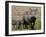 Mother and Baby Warthog, Masai Mara National Reserve-James Hager-Framed Photographic Print