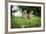 Mother and Baby Yellow Baboon (Papio Cynocephalus), South Luangwa National Park, Zambia, Africa-Janette Hill-Framed Photographic Print