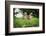 Mother and Baby Yellow Baboon (Papio Cynocephalus), South Luangwa National Park, Zambia, Africa-Janette Hill-Framed Photographic Print