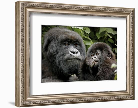 Mother and Baby-null-Framed Art Print