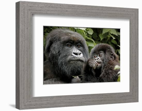 Mother and Baby-null-Framed Art Print