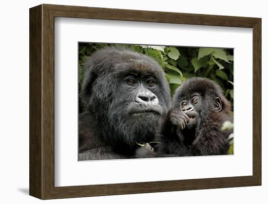 Mother and Baby-null-Framed Art Print