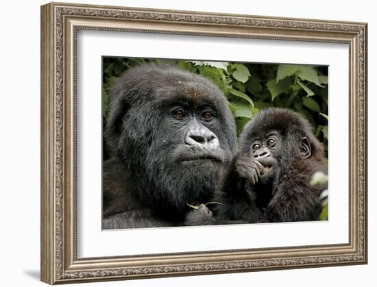 Mother and Baby-null-Framed Art Print
