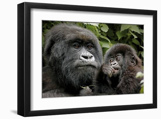 Mother and Baby-null-Framed Art Print