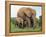 Mother and Calf, African Elephant (Loxodonta Africana) Addo National Park, South Africa, Africa-Ann & Steve Toon-Framed Premier Image Canvas