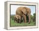 Mother and Calf, African Elephant (Loxodonta Africana) Addo National Park, South Africa, Africa-Ann & Steve Toon-Framed Premier Image Canvas