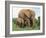 Mother and Calf, African Elephant (Loxodonta Africana) Addo National Park, South Africa, Africa-Ann & Steve Toon-Framed Photographic Print
