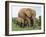 Mother and Calf, African Elephant (Loxodonta Africana) Addo National Park, South Africa, Africa-Ann & Steve Toon-Framed Photographic Print