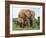 Mother and Calf, African Elephant (Loxodonta Africana) Addo National Park, South Africa, Africa-Ann & Steve Toon-Framed Photographic Print