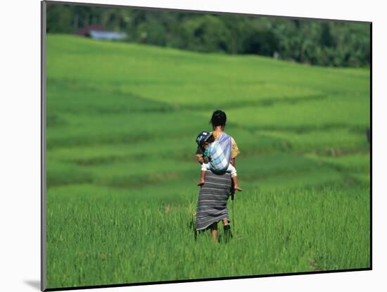 Mother and Child in the Rice Terraces of Ruteng, Flores, Indonesia, Southeast Asia-Robert Francis-Mounted Photographic Print