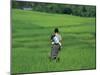 Mother and Child in the Rice Terraces of Ruteng, Flores, Indonesia, Southeast Asia-Robert Francis-Mounted Photographic Print