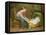 Mother and Child-Cornelis de Vos-Framed Premier Image Canvas