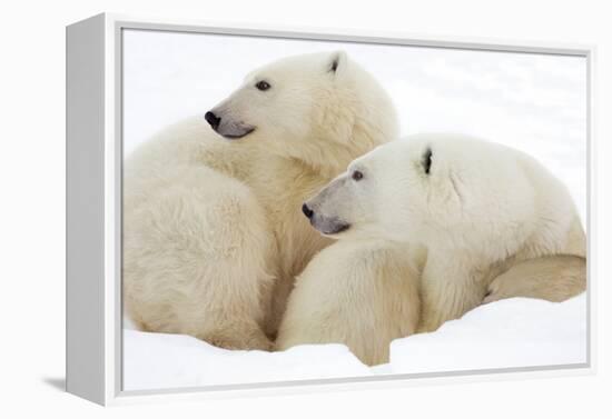 Mother and Cub Profile-Howard Ruby-Framed Premier Image Canvas