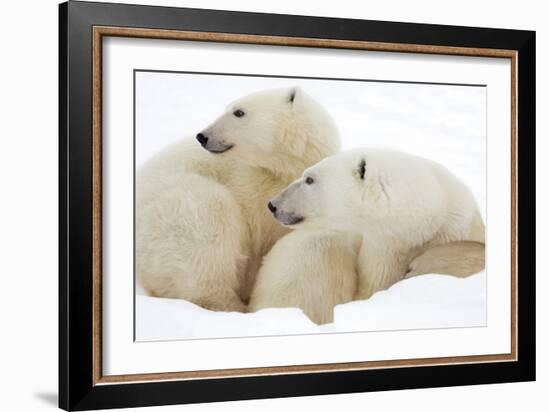 Mother and Cub Profile-Howard Ruby-Framed Photographic Print