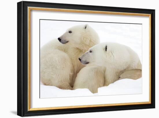 Mother and Cub Profile-Howard Ruby-Framed Photographic Print