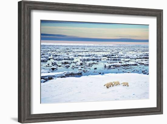 Mother and Cubs at the Shore-Howard Ruby-Framed Photographic Print