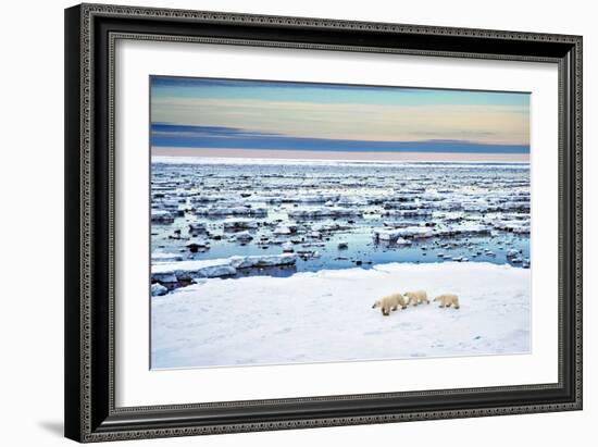 Mother and Cubs at the Shore-Howard Ruby-Framed Photographic Print