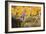 Mother And Daughter Trail Running In The Fall In Colorado-Liam Doran-Framed Photographic Print