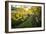 Mother And Daughter Trail Running In The Fall In Colorado-Liam Doran-Framed Photographic Print