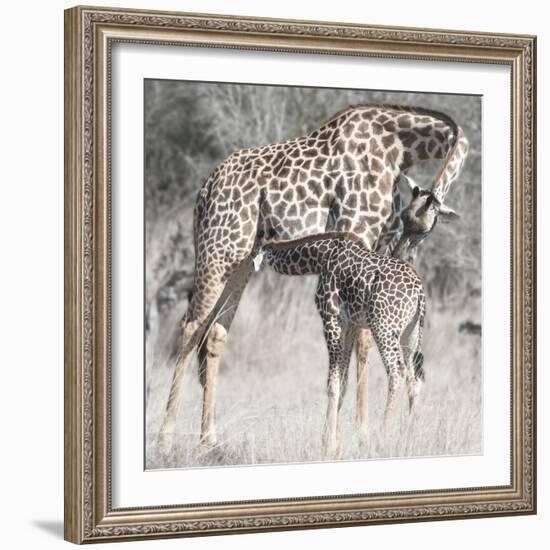 Mother and Daughter-Scott Bennion-Framed Photo