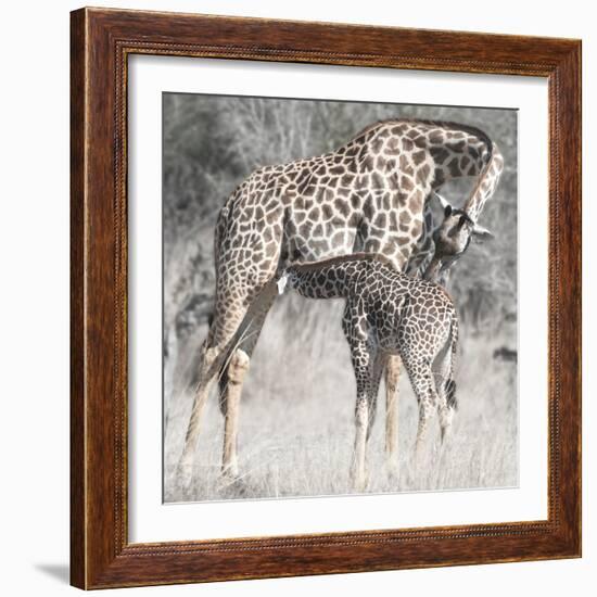 Mother and Daughter-Scott Bennion-Framed Photo