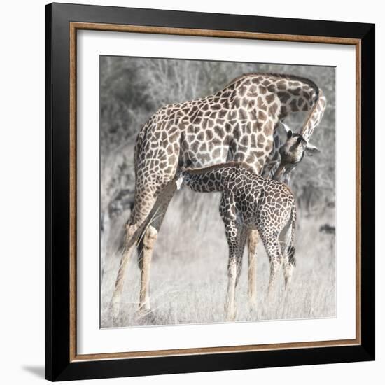 Mother and Daughter-Scott Bennion-Framed Photo