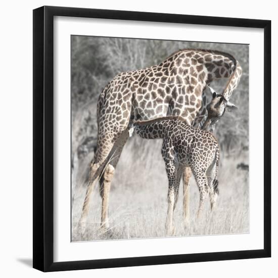 Mother and Daughter-Scott Bennion-Framed Photo