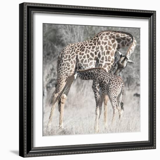 Mother and Daughter-Scott Bennion-Framed Photo