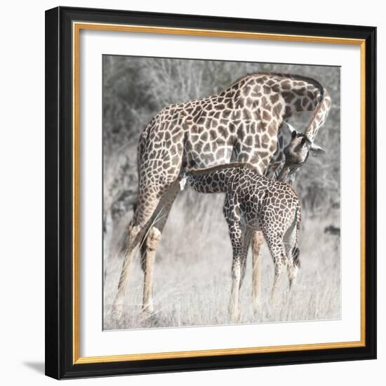 Mother and Daughter-Scott Bennion-Framed Photo