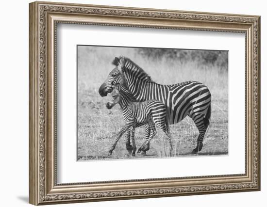 Mother and New Born-Scott Bennion-Framed Photo