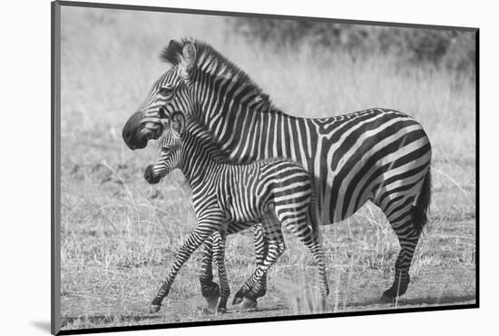 Mother and New Born-Scott Bennion-Mounted Photo