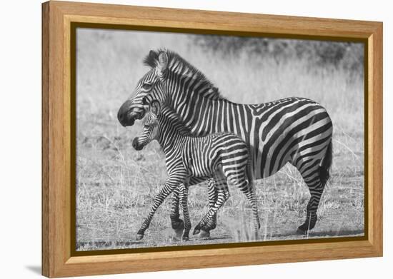 Mother and New Born-Scott Bennion-Framed Stretched Canvas