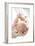 Mother And Newborn Baby Boy-Ruth Jenkinson-Framed Photographic Print