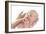 Mother And Newborn Baby Boy-Ruth Jenkinson-Framed Photographic Print