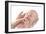 Mother And Newborn Baby Boy-Ruth Jenkinson-Framed Photographic Print