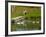 Mother and Son on Saone River, France-Lisa S. Engelbrecht-Framed Photographic Print